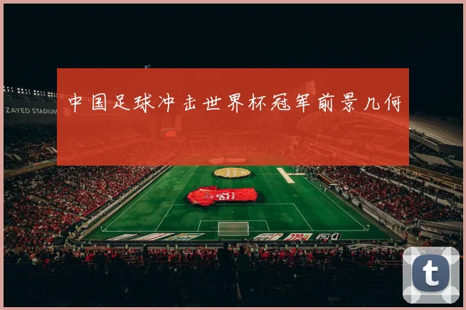 中国足球冲击世界杯冠军前景几何
