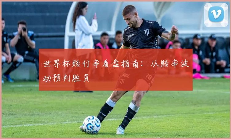 世界杯赔付率看盘指南：从赔率波动预判胜负