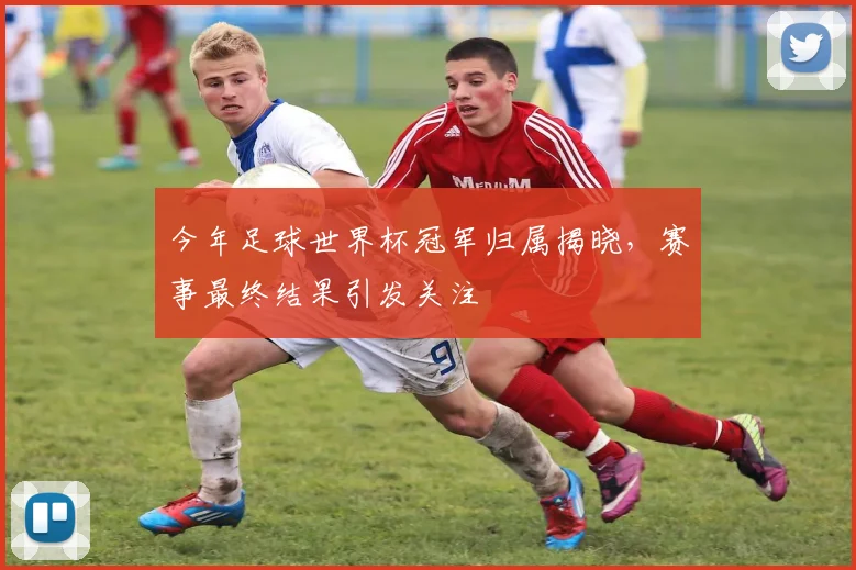 今年足球世界杯冠军归属揭晓，赛事最终结果引发关注