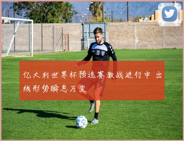 亿大利世界杯预选赛激战进行中 出线形势瞬息万变