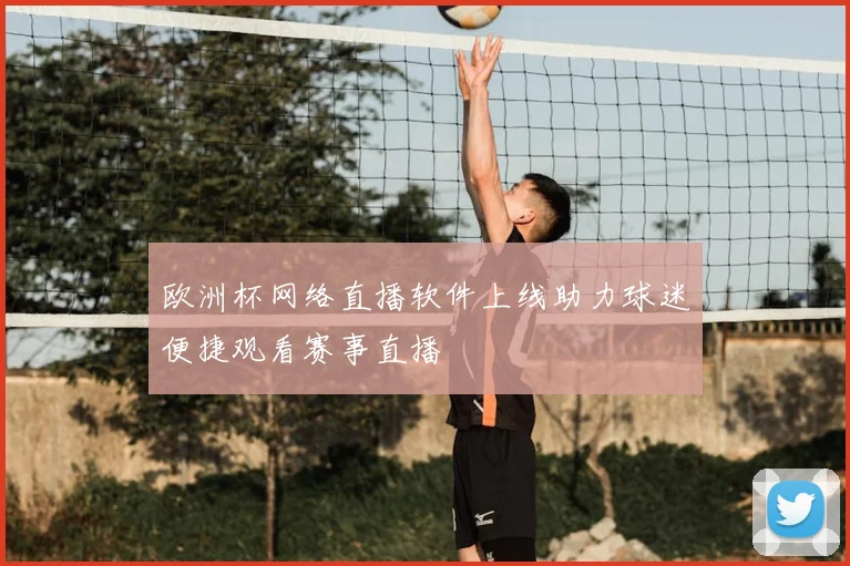 欧洲杯网络直播软件上线助力球迷便捷观看赛事直播