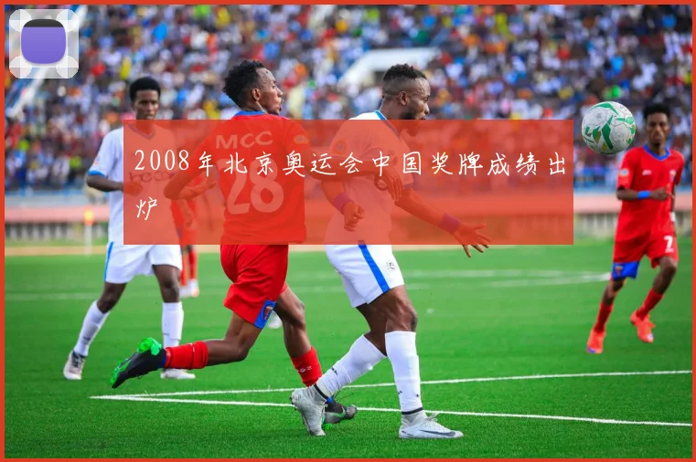 2008年北京奥运会中国奖牌成绩出炉