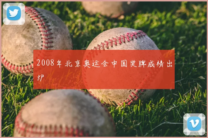 2008年北京奥运会中国奖牌成绩出炉