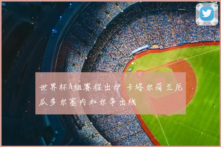 世界杯A组赛程出炉 卡塔尔荷兰厄瓜多尔塞内加尔争出线